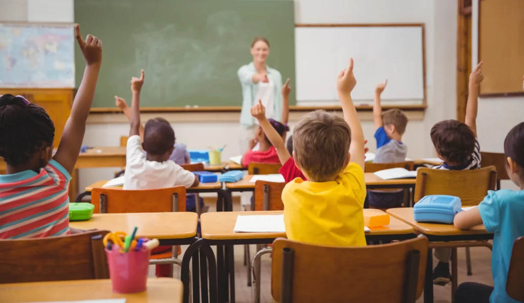 Schools & Universities